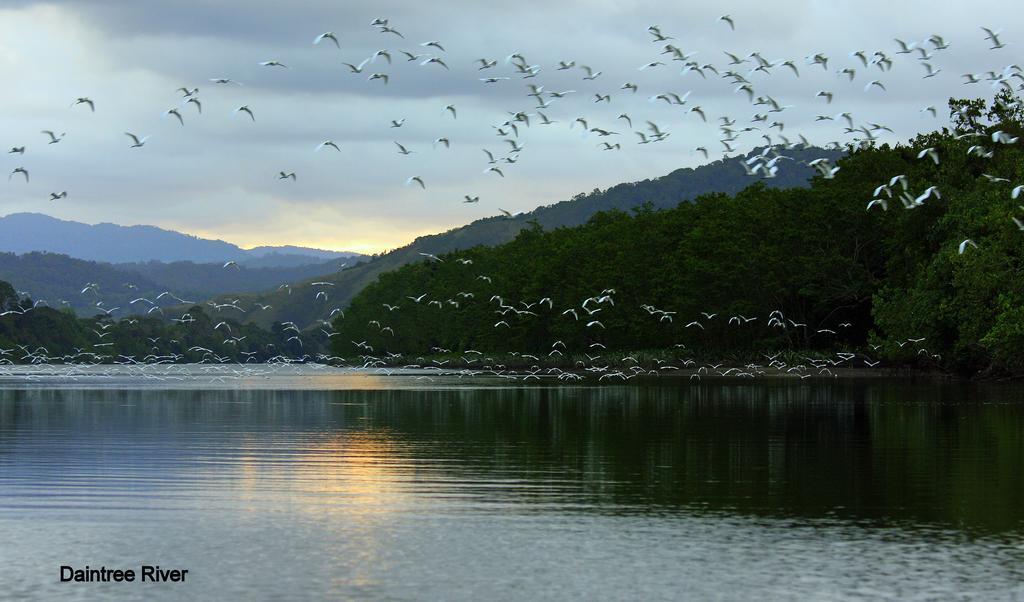 Daintree Riverview Lodges 외부 사진