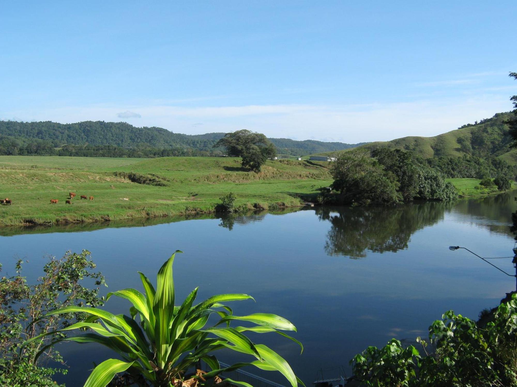 Daintree Riverview Lodges 외부 사진