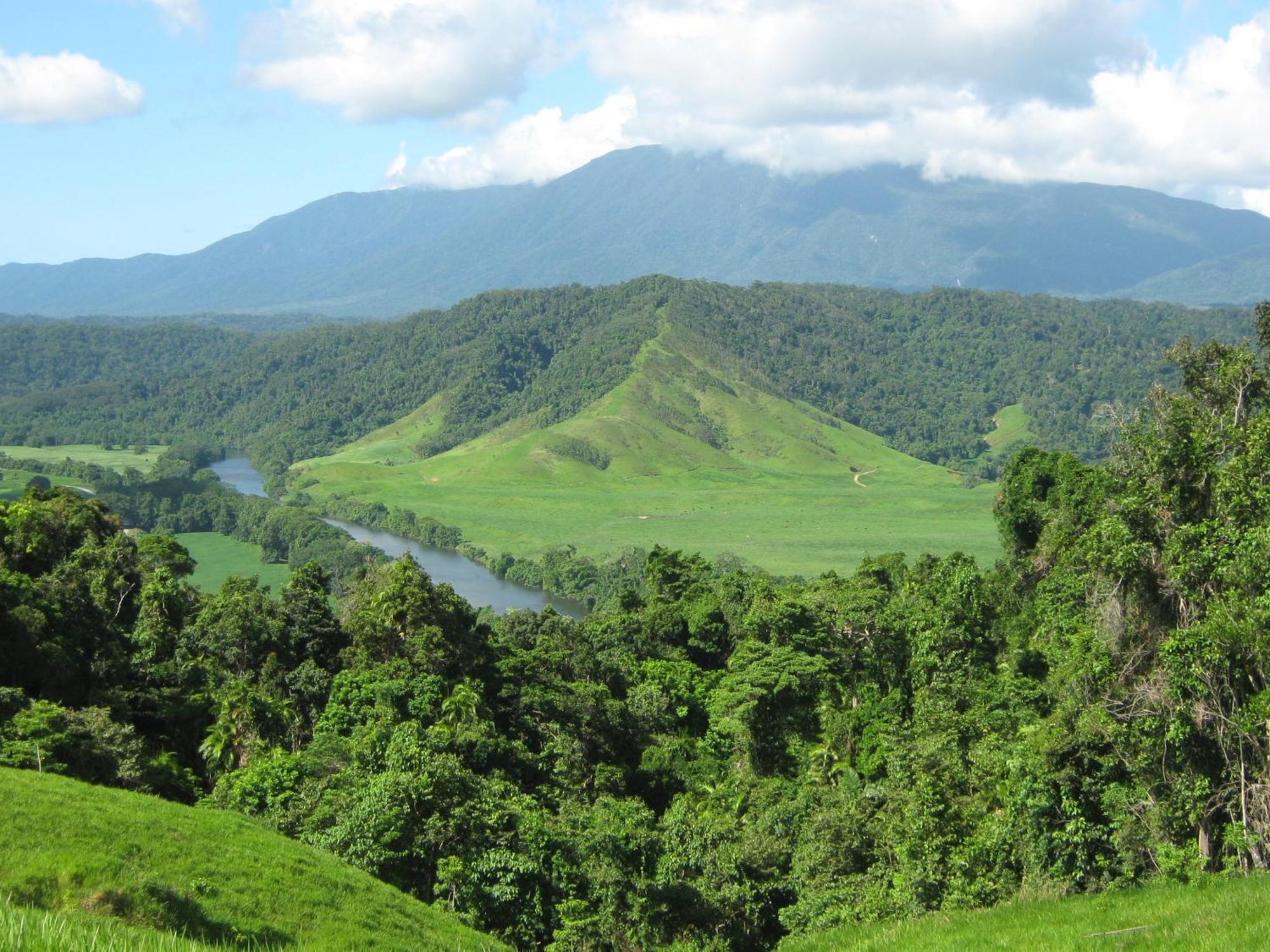 Daintree Riverview Lodges 외부 사진